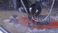 Ky WJ Can Cut Video - EN