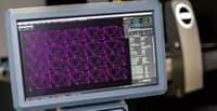 Switching materials is easy in the OMAX IntelliMAX software